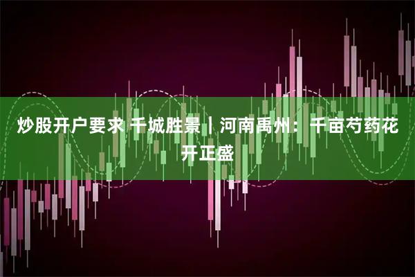 炒股开户要求 千城胜景｜河南禹州：千亩芍药花开正盛